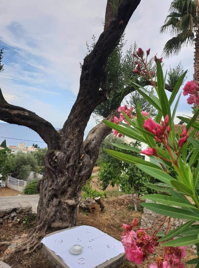 Apartman Veliki Pijesak Dobra Voda Exteriér fotografie